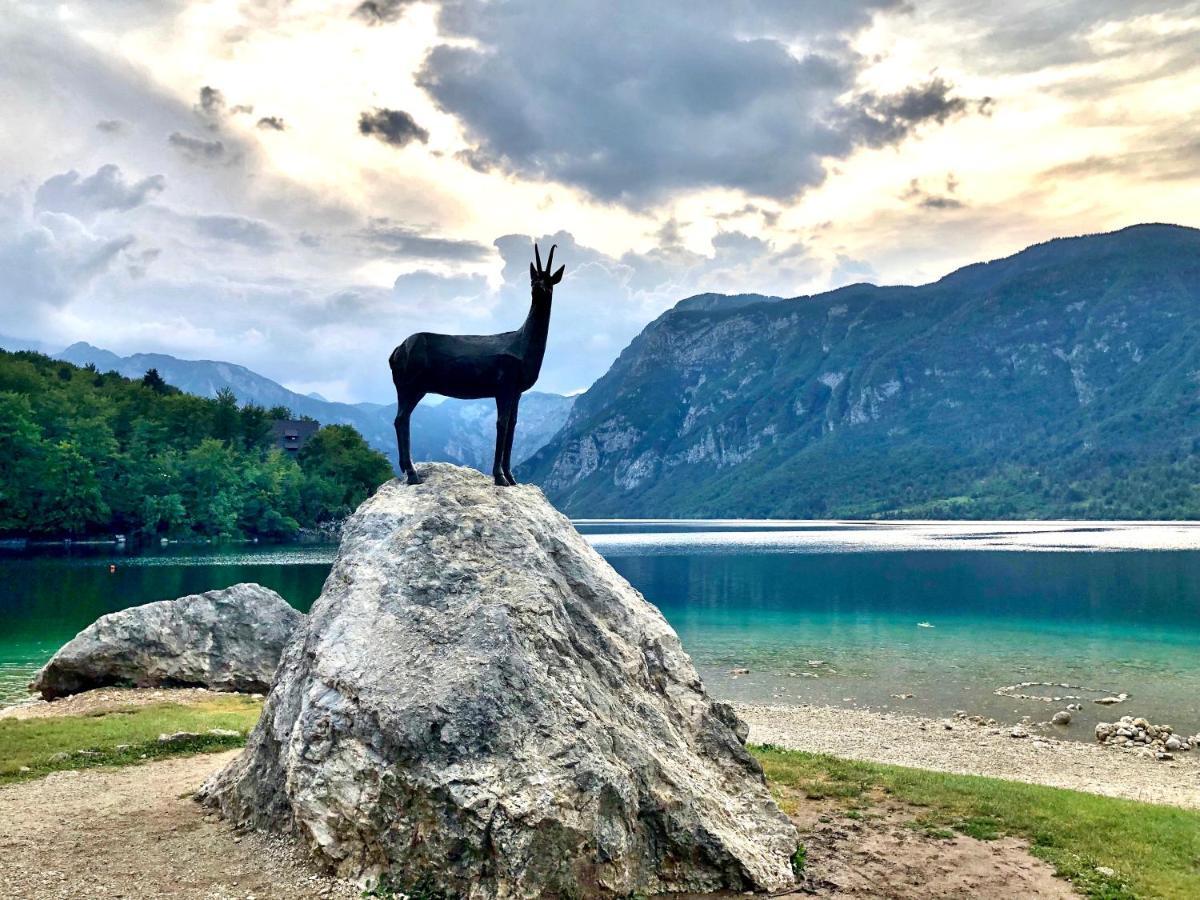 Apartments Green Paradise Bohinj Zewnętrze zdjęcie